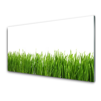 Glass Print Grass nature green
