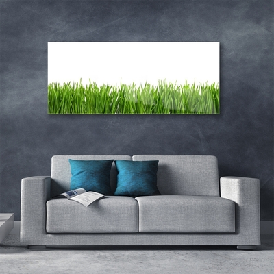 Glass Print Grass nature green