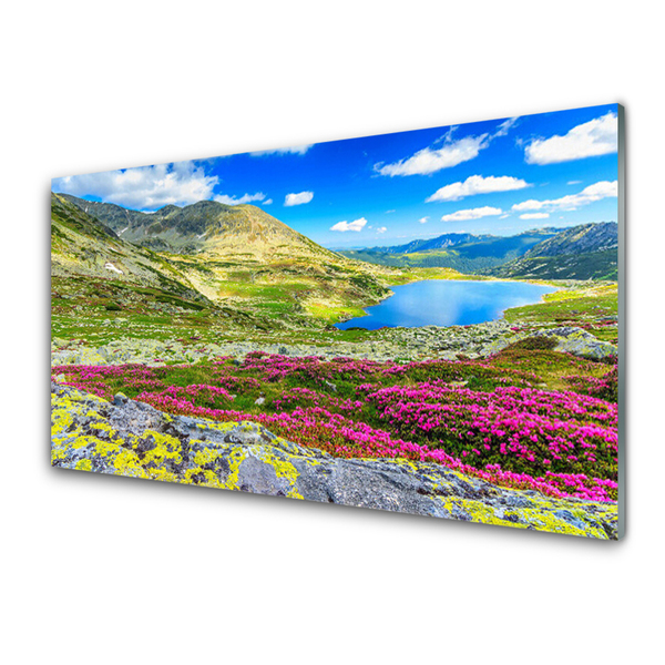 Glass Print Mountain bay meadow nature multi