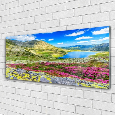 Glass Print Mountain bay meadow nature multi