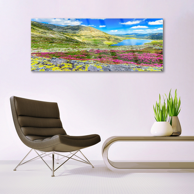 Glass Print Mountain bay meadow nature multi