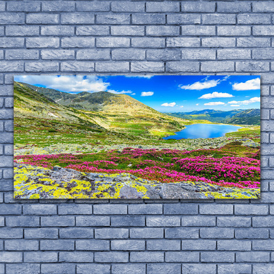 Glass Print Mountain bay meadow nature multi