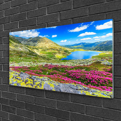 Glass Print Mountain bay meadow nature multi