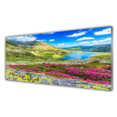 Glass Print Mountain bay meadow nature multi