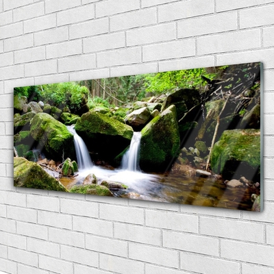 Glass Print Waterfall rocks nature green white grey