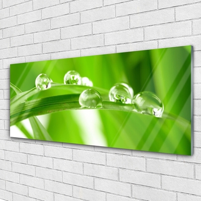 Glass Print Leaves floral green