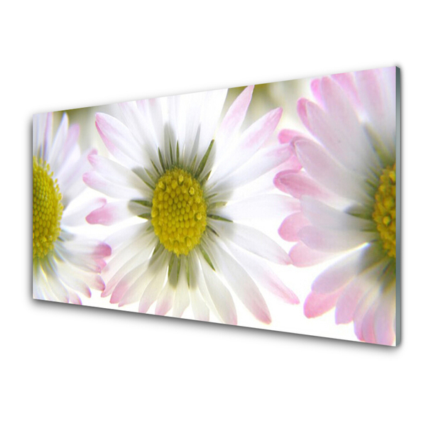 Glass Print Daisy floral green grey white