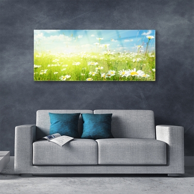 Glass Print Meadow daisies nature green white