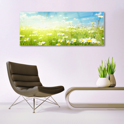 Glass Print Meadow daisies nature green white