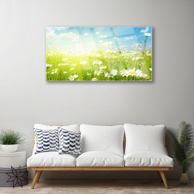 Glass Print Meadow daisies nature green white