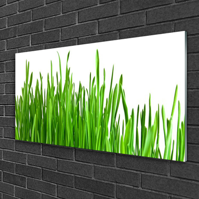 Glass Print Grass floral green