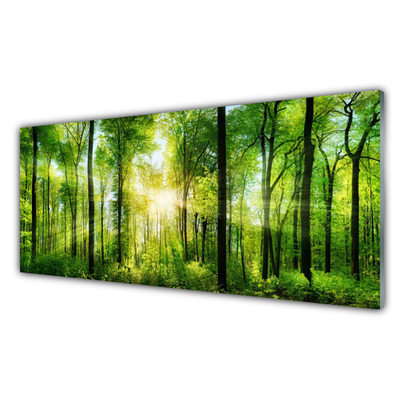 Glass Print Forest nature green brown