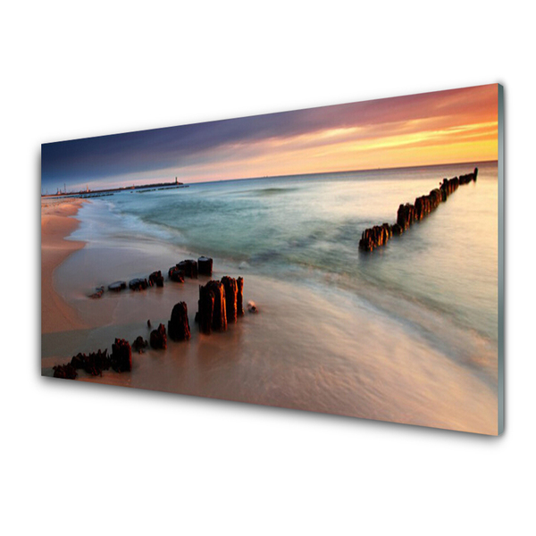 Glass Print Ocean beach landscape brown blue