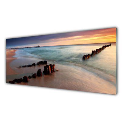 Glass Print Ocean beach landscape brown blue