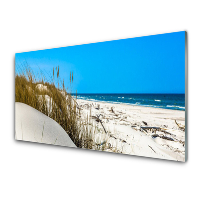 Glass Print Beach landscape green white