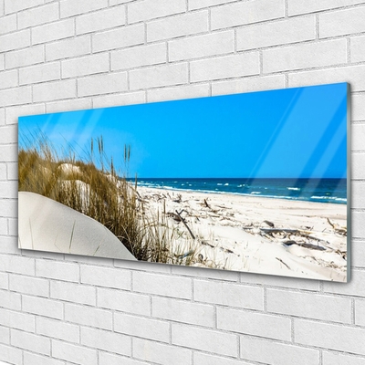 Glass Print Beach landscape green white