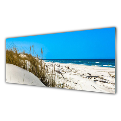 Glass Print Beach landscape green white