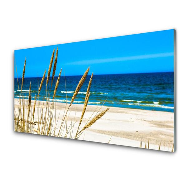 Glass Print Ocean beach landscape brown blue