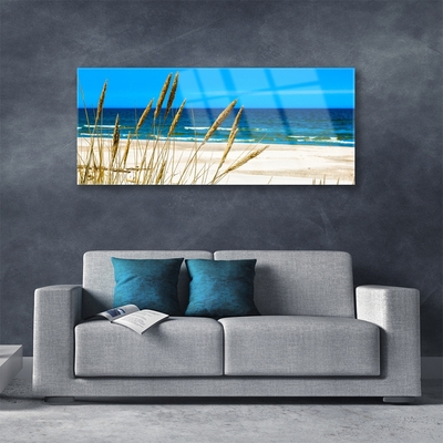 Glass Print Ocean beach landscape brown blue