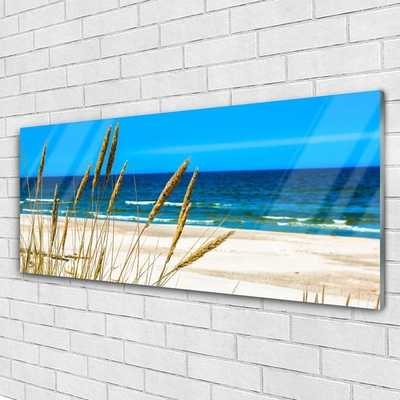 Glass Print Ocean beach landscape brown blue