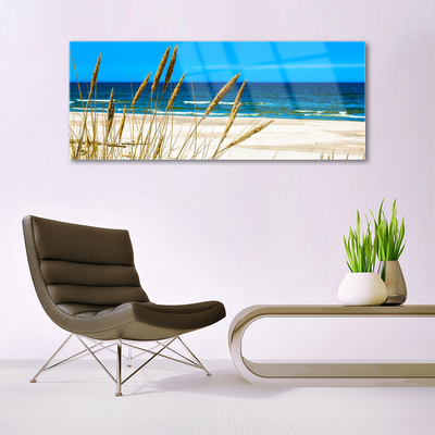 Glass Print Ocean beach landscape brown blue