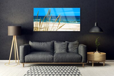 Glass Print Ocean beach landscape brown blue