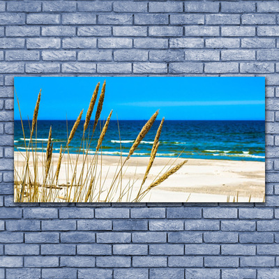 Glass Print Ocean beach landscape brown blue