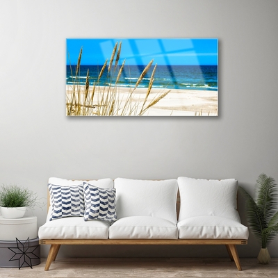 Glass Print Ocean beach landscape brown blue