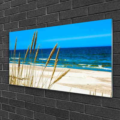 Glass Print Ocean beach landscape brown blue