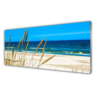 Glass Print Ocean beach landscape brown blue