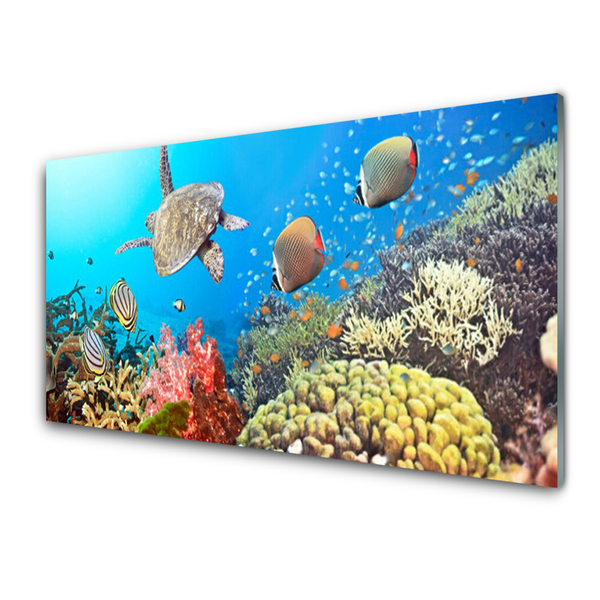 Glass Print Coral reef landscape multi