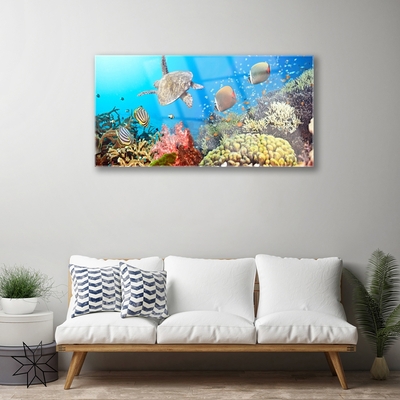 Glass Print Coral reef landscape multi
