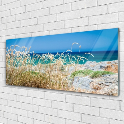 Glass Print Beach landscape brown