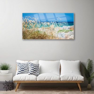 Glass Print Beach landscape brown