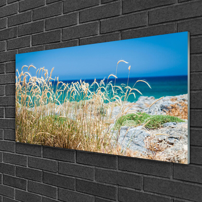 Glass Print Beach landscape brown