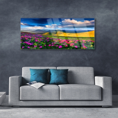 Glass Print Meadow flowers nature green blue pink red