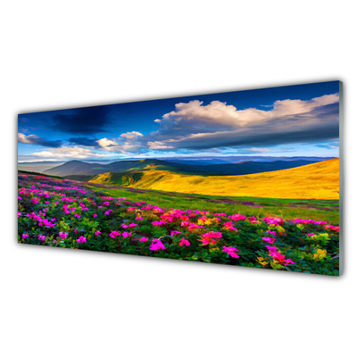 Glass Print Meadow flowers nature green blue pink red