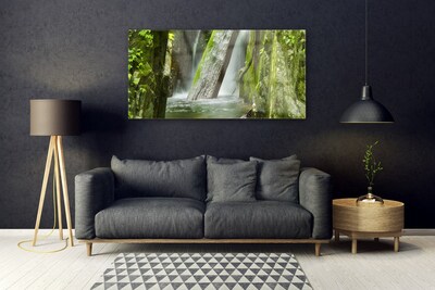 Glass Print Waterfall nature green grey white