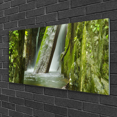 Glass Print Waterfall nature green grey white