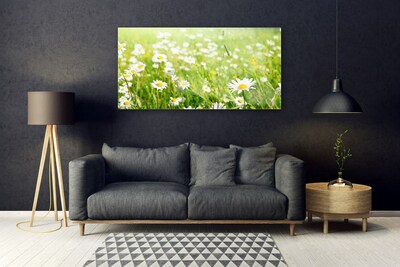 Glass Print Meadow daisies nature white yellow green