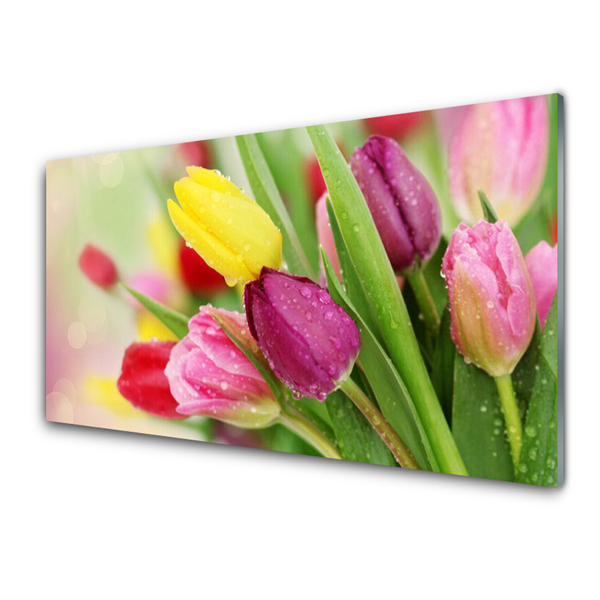 Glass Print Tulips floral green red