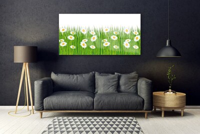 Glass Print Grass daisies nature green white yellow