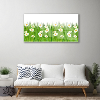 Glass Print Grass daisies nature green white yellow