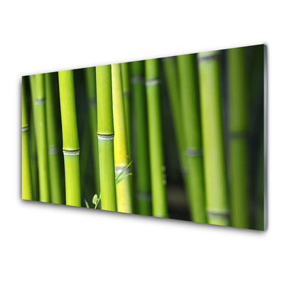 Glass Print Bamboo nature green