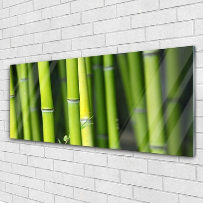 Glass Print Bamboo nature green