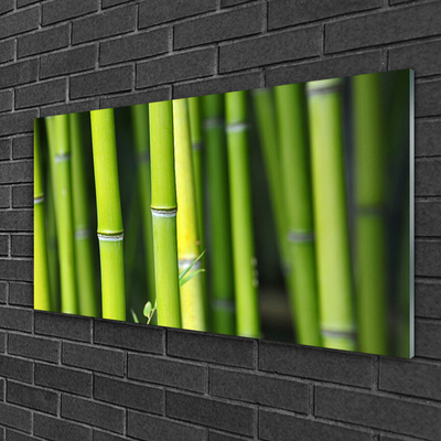 Glass Print Bamboo nature green