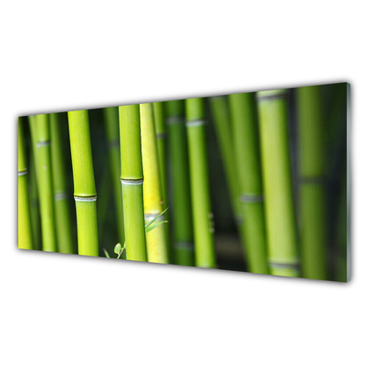 Glass Print Bamboo nature green