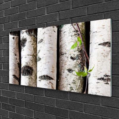 Glass Print Trees nature white black