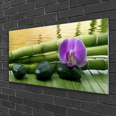 Glass Print Flower stones bamboo stalks floral pink black green