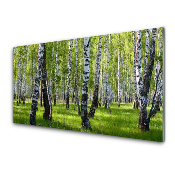 Glass Print Forest nature black white green